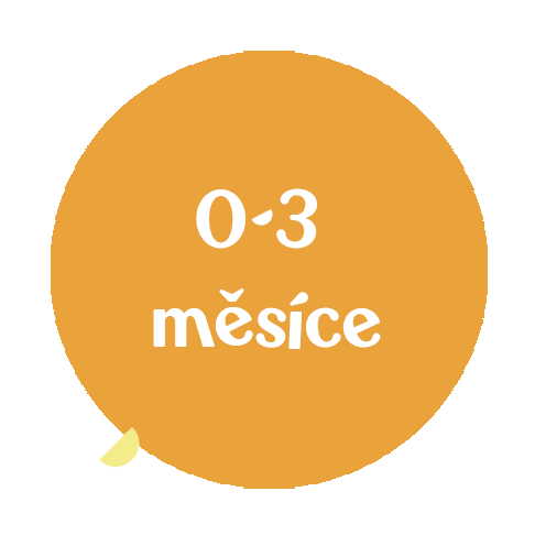 0-3-mesice-recnik