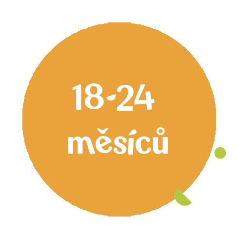 18-24-mesicu-recnik