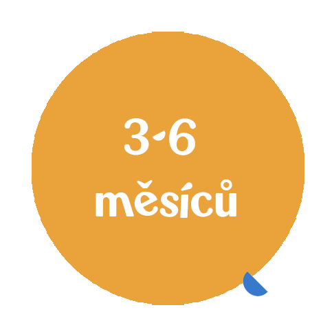 3-6-mesicu-recnik