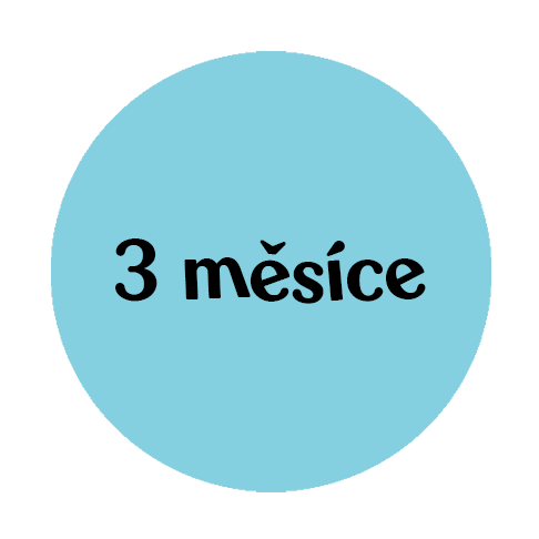 3mesice-sezeni_v2