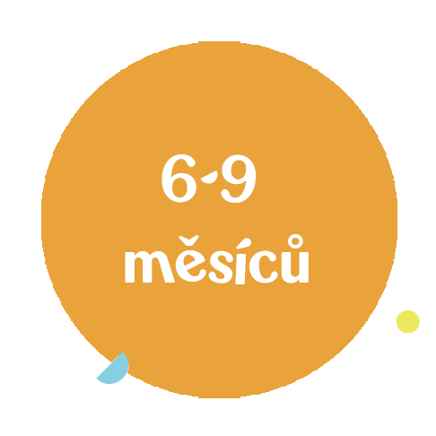 6-9-mesicu-recnik