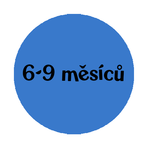 6-9mesicu-plazeni