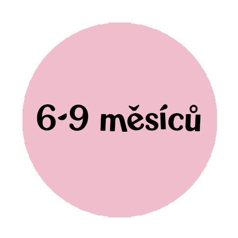 6-9mesicu-stani