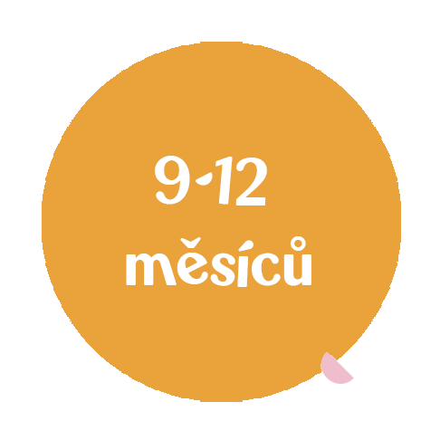 9-12-mesicu-recnik