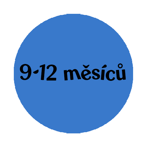 9-12mesicu-plazeni