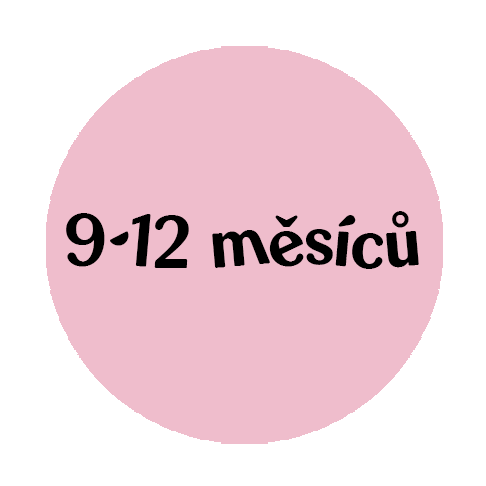 9-12mesicu-stani